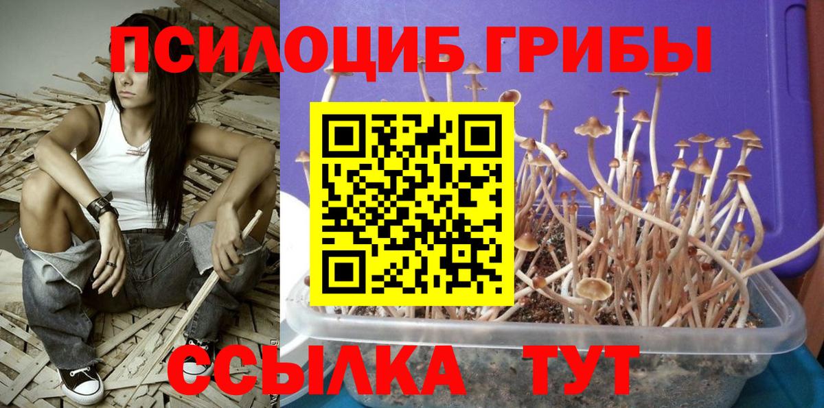 Северск  Псилоцибиновые грибы Magic Shrooms  Галлюциногенные грибы прущие грибы  Вход с VPN 